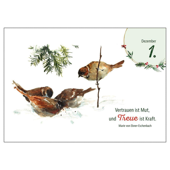 Heimische Tiere im Winter - der Adventskalender | -