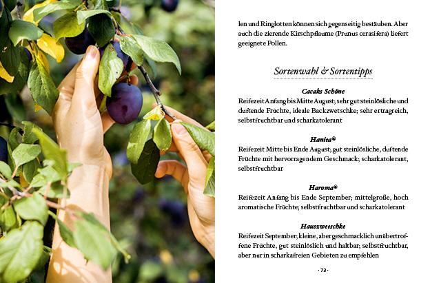 Das große kleine Buch: Obstbäume in unserem Garten | Papouschek, Elke