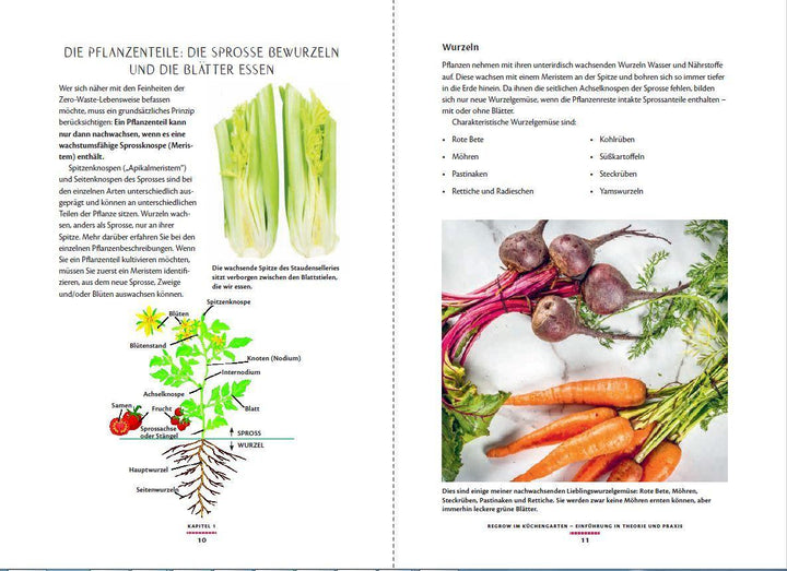 Regrow: Neue Ernte aus Gemüseresten - Von Avocado bis Zwiebel. Die unkompliz...