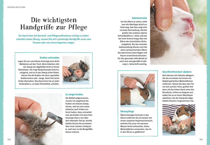 Liebenswerte Zwergkaninchen | Wegler, Monika