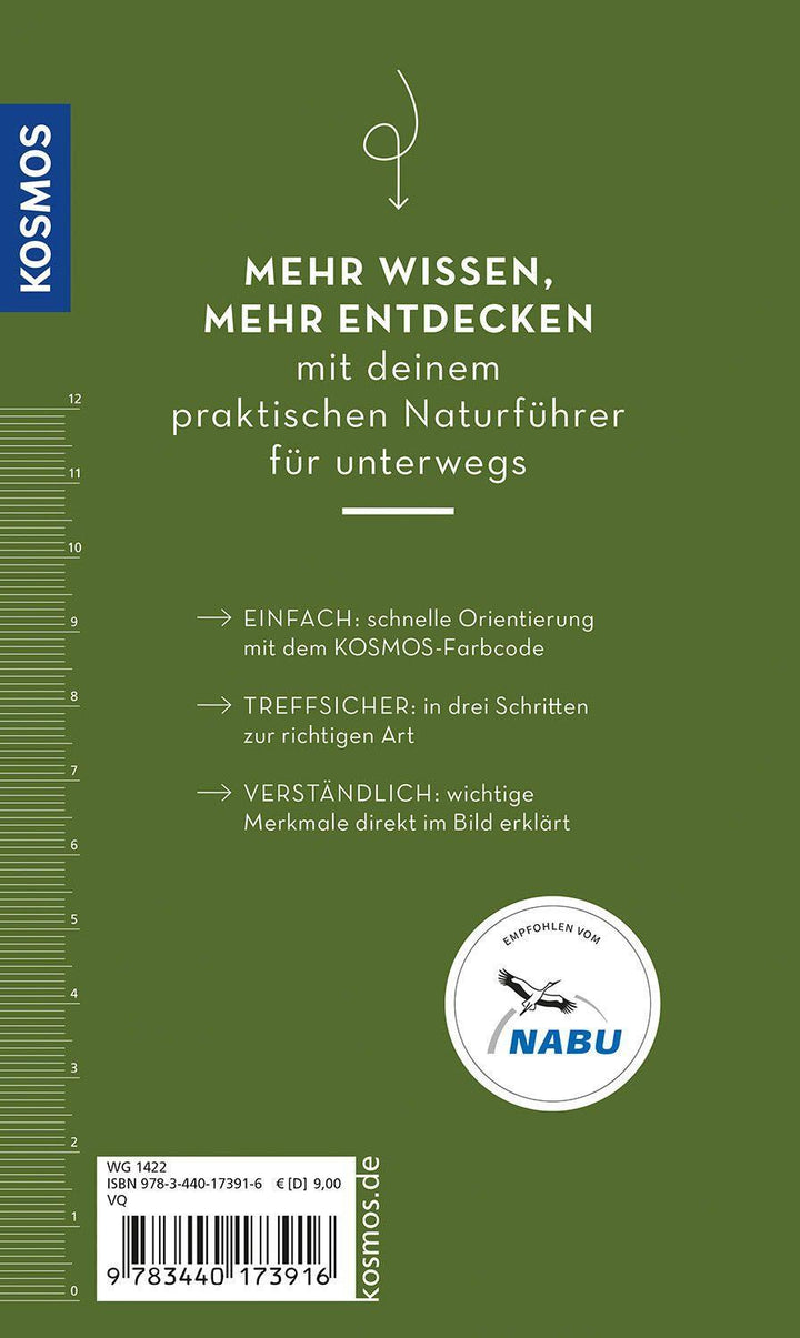 BASIC Insekten | Gerstmeier, Roland