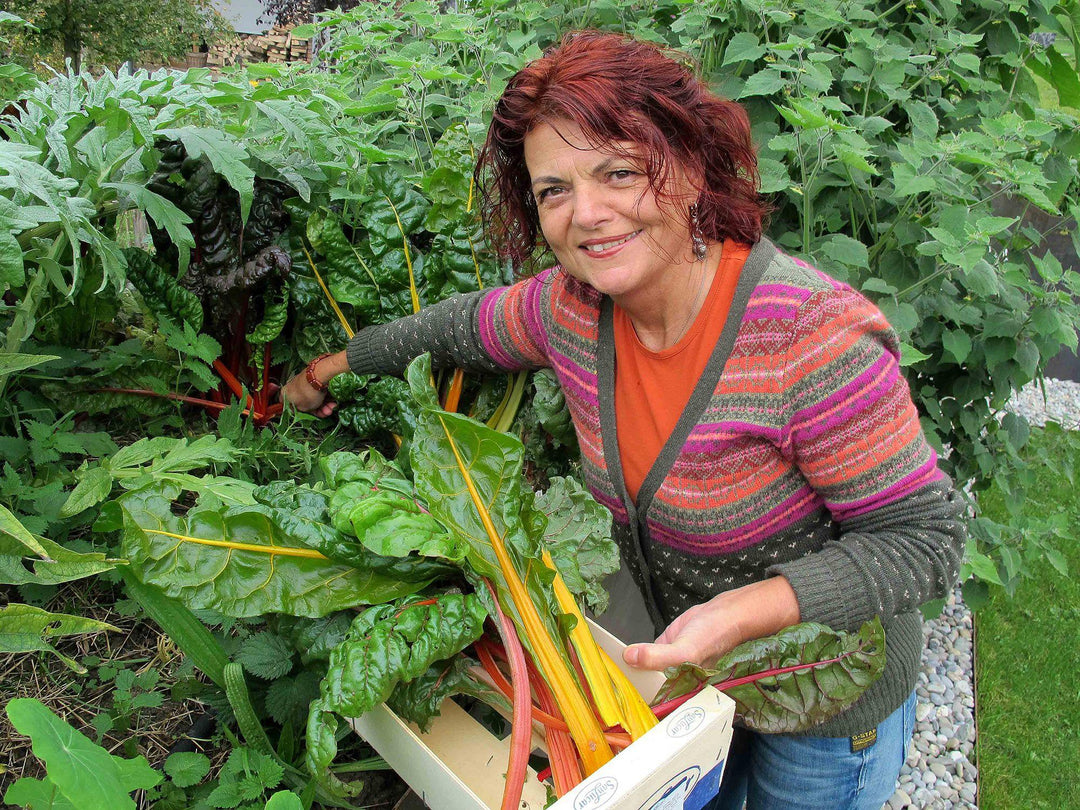Einfach gesund. Das Hildegard von Bingen Gesundheitsbuch | Pregenzer, Brigitte