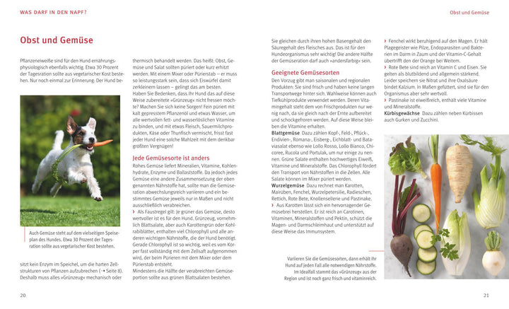 BARF für Hunde | Kohtz-Walkemeyer, Marianne