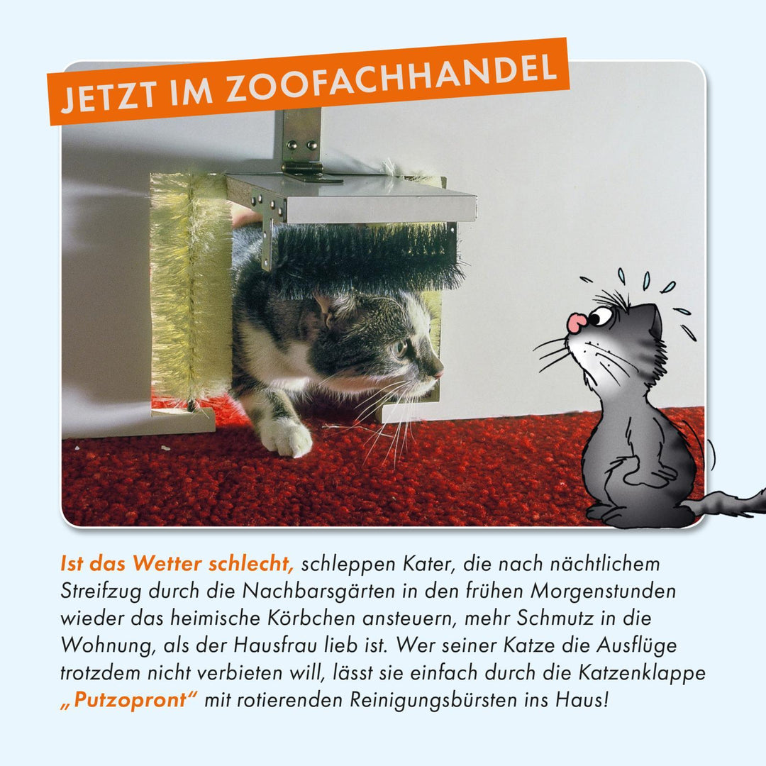 Viel Spaß mit Katzen | Stein, Uli
