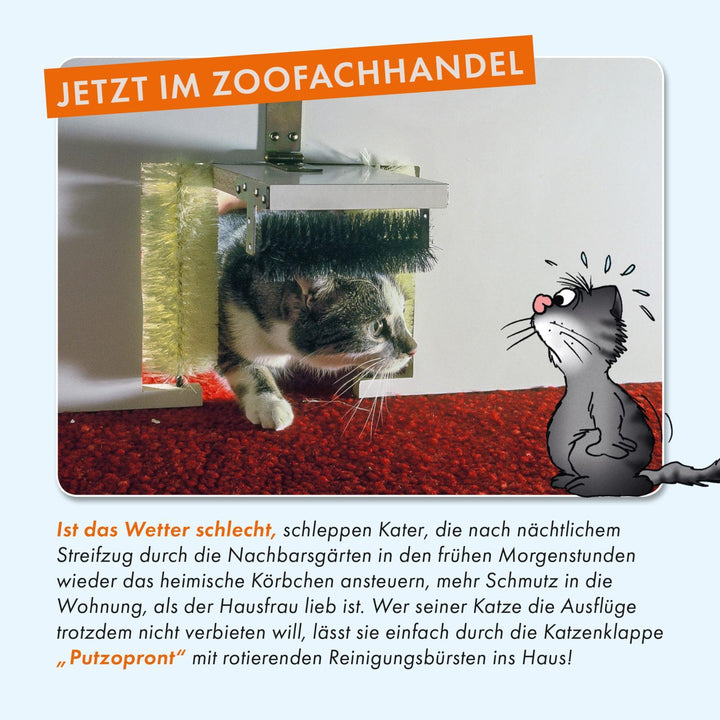 Viel Spaß mit Katzen | Stein, Uli