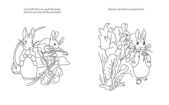 Das große Peter Hase Ausmalbuch | Potter, Beatrix