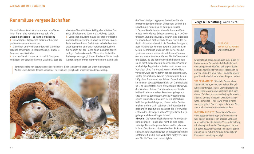 Rennmäuse | Kötter, Engelbert