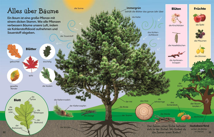 1000 erste Wörter. Natur | -