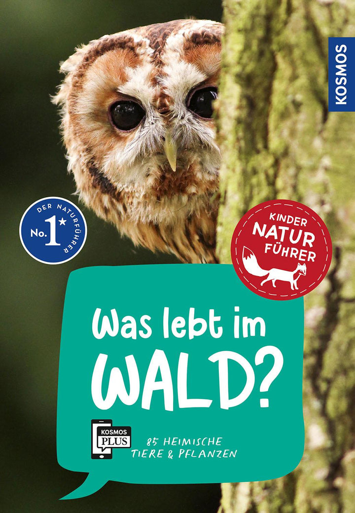 Was lebt im Wald? Kindernaturführer | Haag, Holger