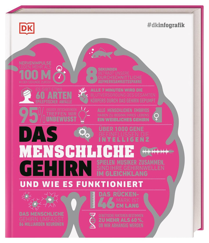 #dkinfografik. Das menschliche Gehirn und wie es funktioniert | Collin, Cath...