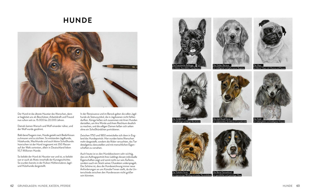 Zeichnen - Das große Buch der Tierporträts | Boehmer-Hoops, Susanne