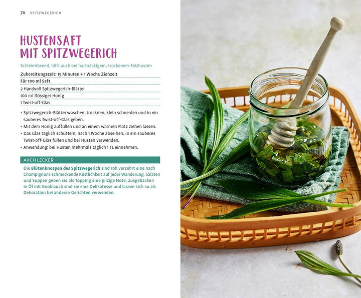 Wild und wunderbar: die 13 besten Wildkräuter | Hissel, Janine