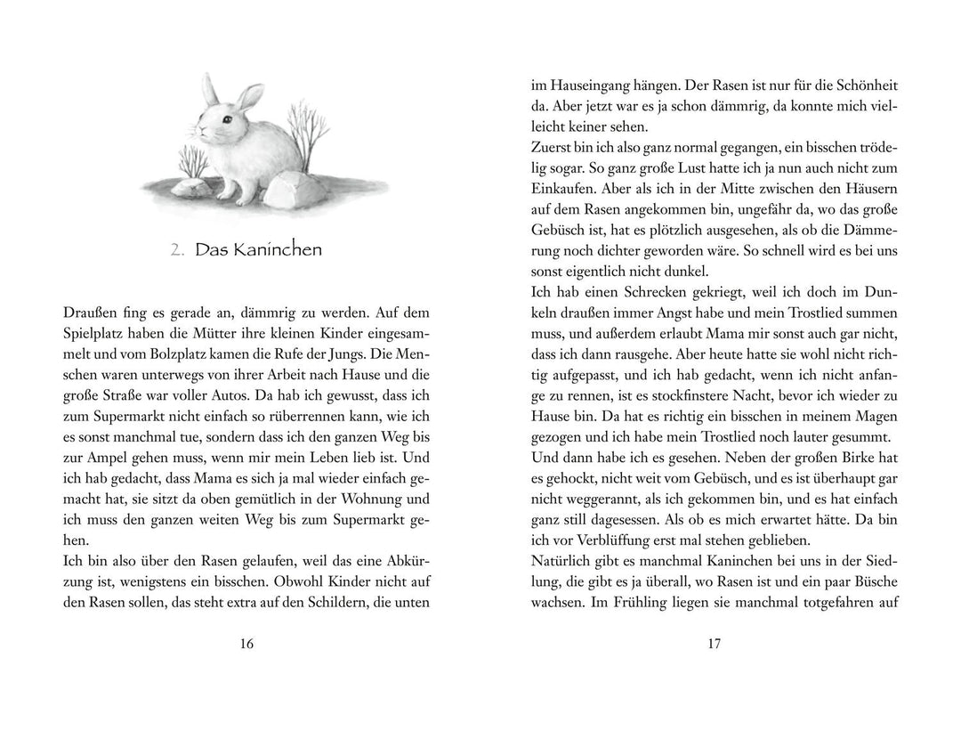 Der durch den Spiegel kommt | Boie, Kirsten