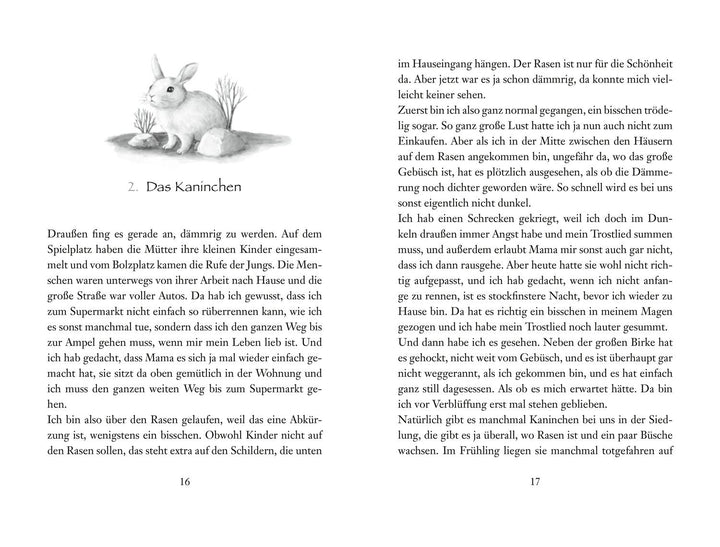 Der durch den Spiegel kommt | Boie, Kirsten