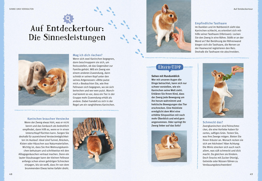 Liebenswerte Zwergkaninchen | Wegler, Monika