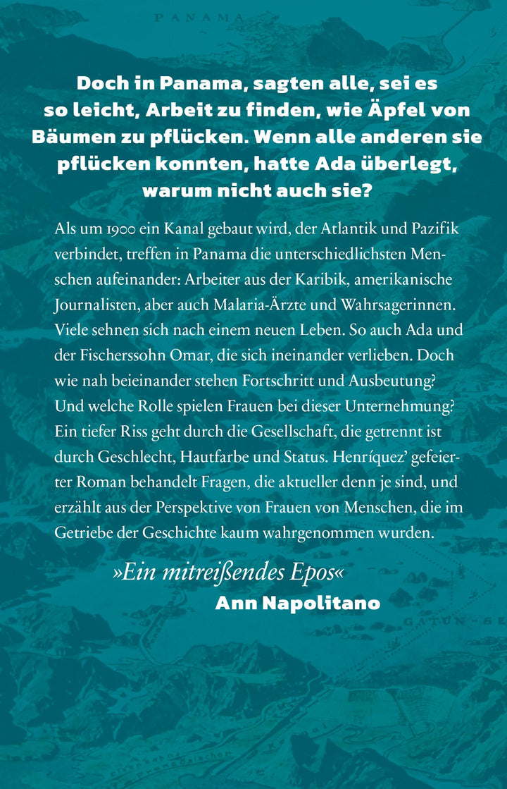 Der große Riss | Henríquez, Cristina