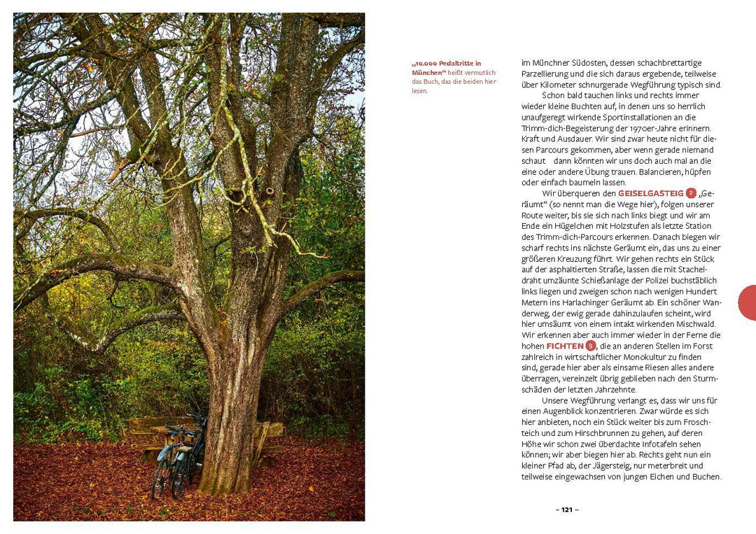 10.000 Schritte in München | Demetriou, Synthia | Röckl, Tobias