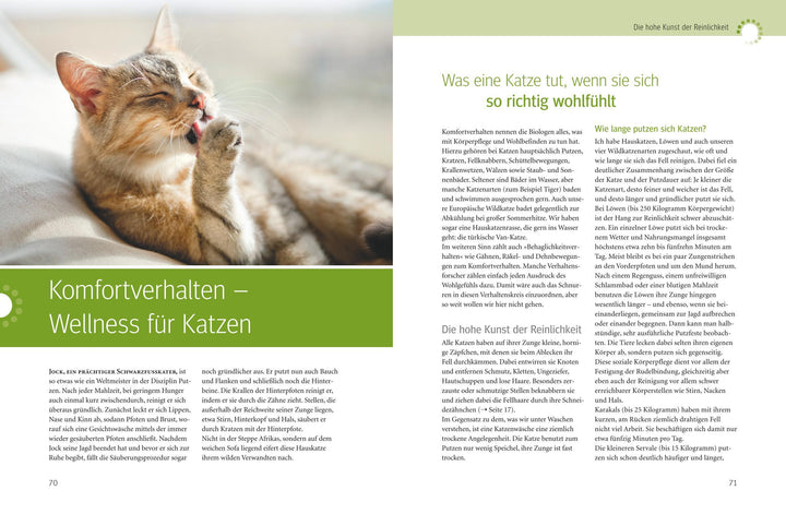 Was Katzen wirklich wollen | Pfleiderer, Mircea | Rödder, Birgit