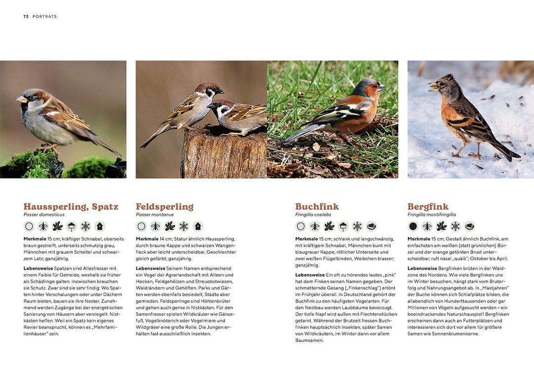 Vogelparadies Garten | Schmid, Ulrich