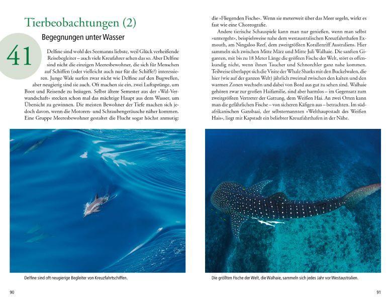 101 Dinge, die man über Kreuzfahrten wissen muss | Viedebantt, Klaus