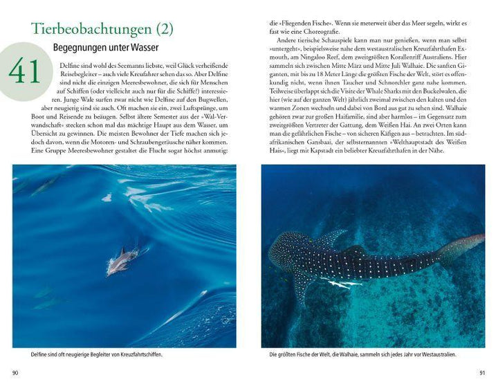 101 Dinge, die man über Kreuzfahrten wissen muss | Viedebantt, Klaus