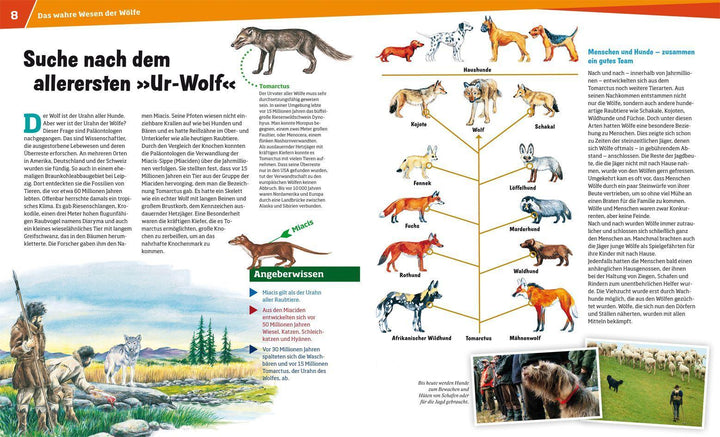 WAS IST WAS Band 104 Wölfe. Im Revier der grauen Jäger | Meyer, Till