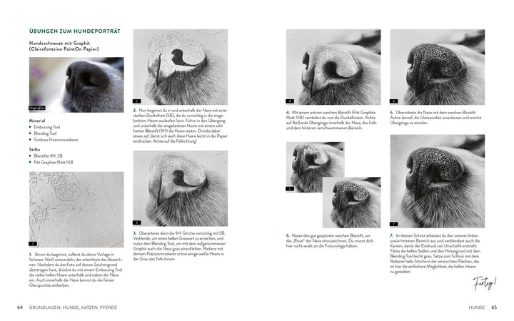 Zeichnen - Das große Buch der Tierporträts | Boehmer-Hoops, Susanne