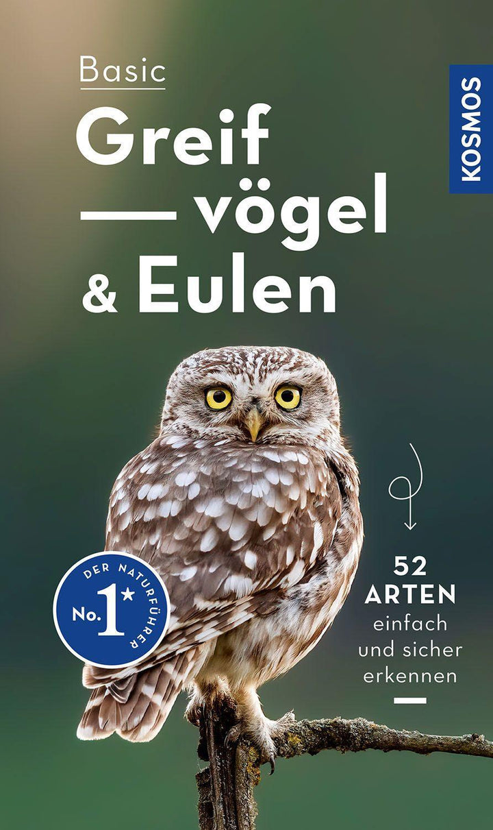 Basic Greifvögel und Eulen | Dierschke, Volker