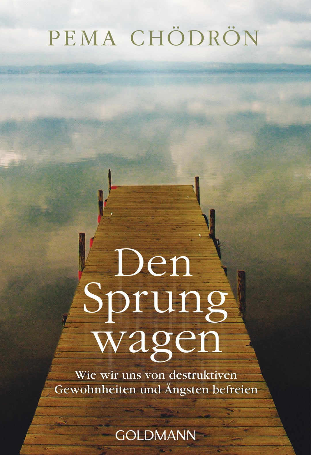 Den Sprung wagen | Chödrön, Pema