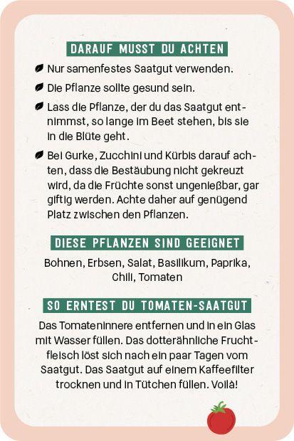 Kartenset: Hochbeet super easy | -