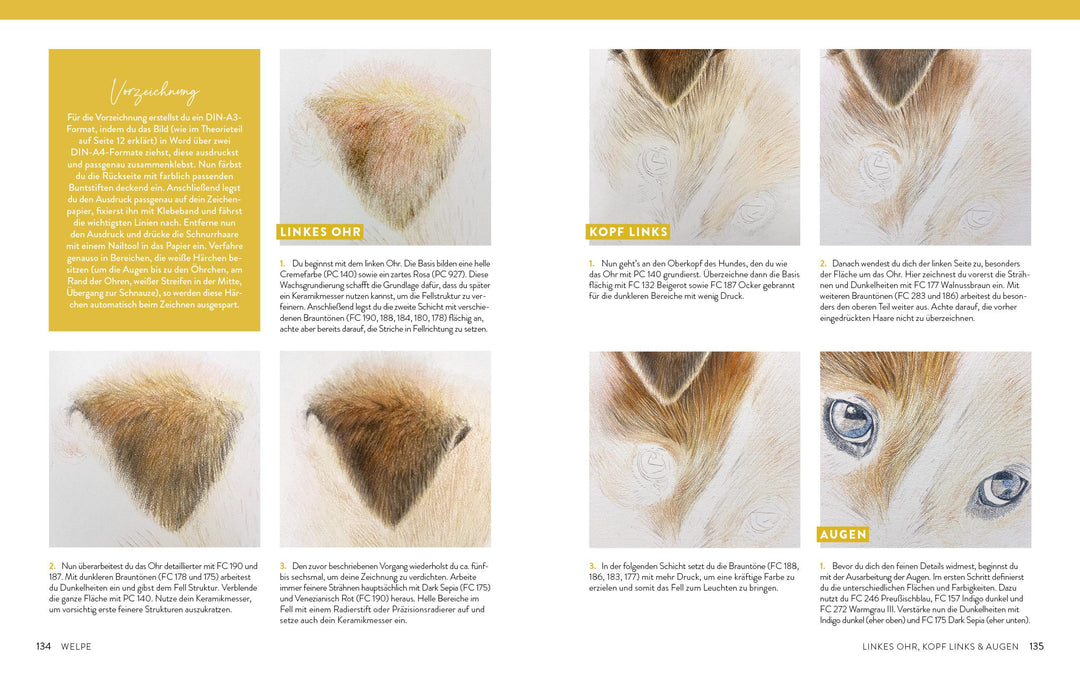 Zeichnen - Das große Buch der Tierporträts | Boehmer-Hoops, Susanne