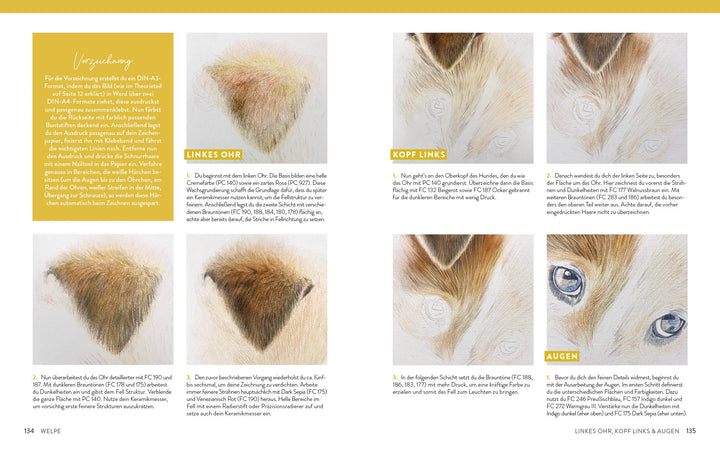 Zeichnen - Das große Buch der Tierporträts | Boehmer-Hoops, Susanne