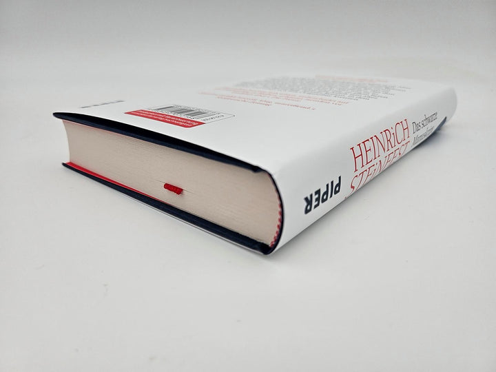 Das schwarze Manuskript | Steinfest, Heinrich