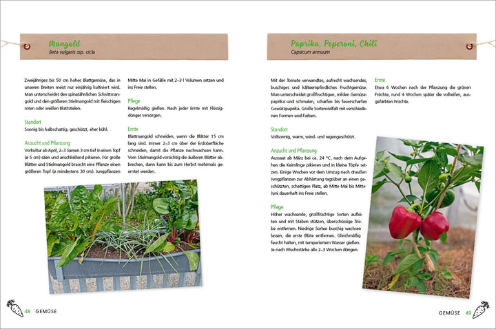 Alles Bio vom Balkon. Obst, Gemüse und Kräuter selber ziehen. | Kopp, Ursula