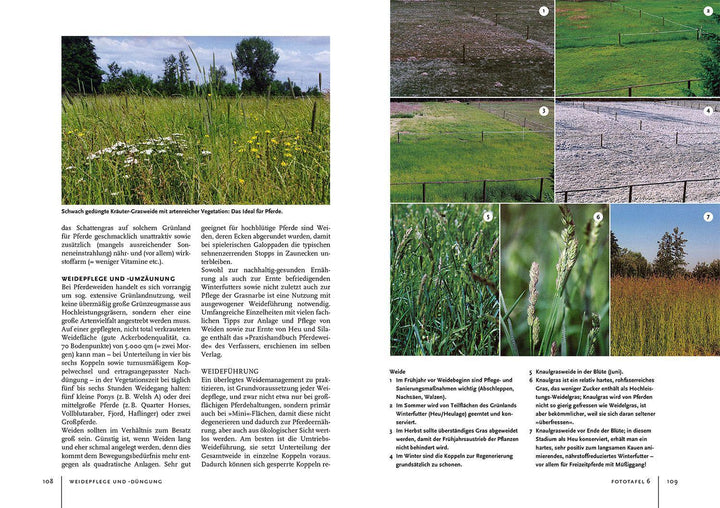 Pferdehaltung und -fütterung | Bender, Ingolf