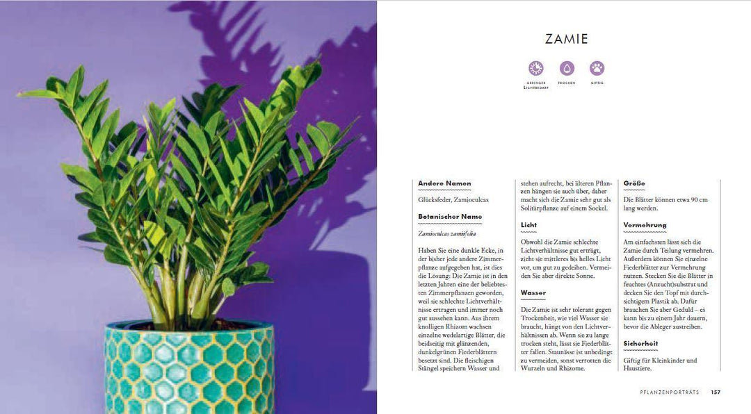 Grow in the Dark - Die schönsten Zimmerpflanzen für dunkle Räume und Plätze....