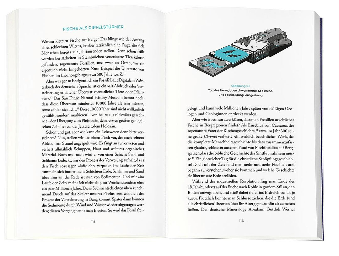 (Fast) Alles einfach erklärt | Kolorz, Niklas