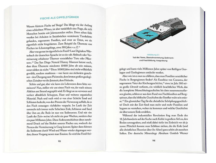 (Fast) Alles einfach erklärt | Kolorz, Niklas