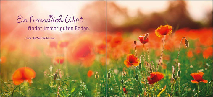 Ein kleines Dankeschön | -