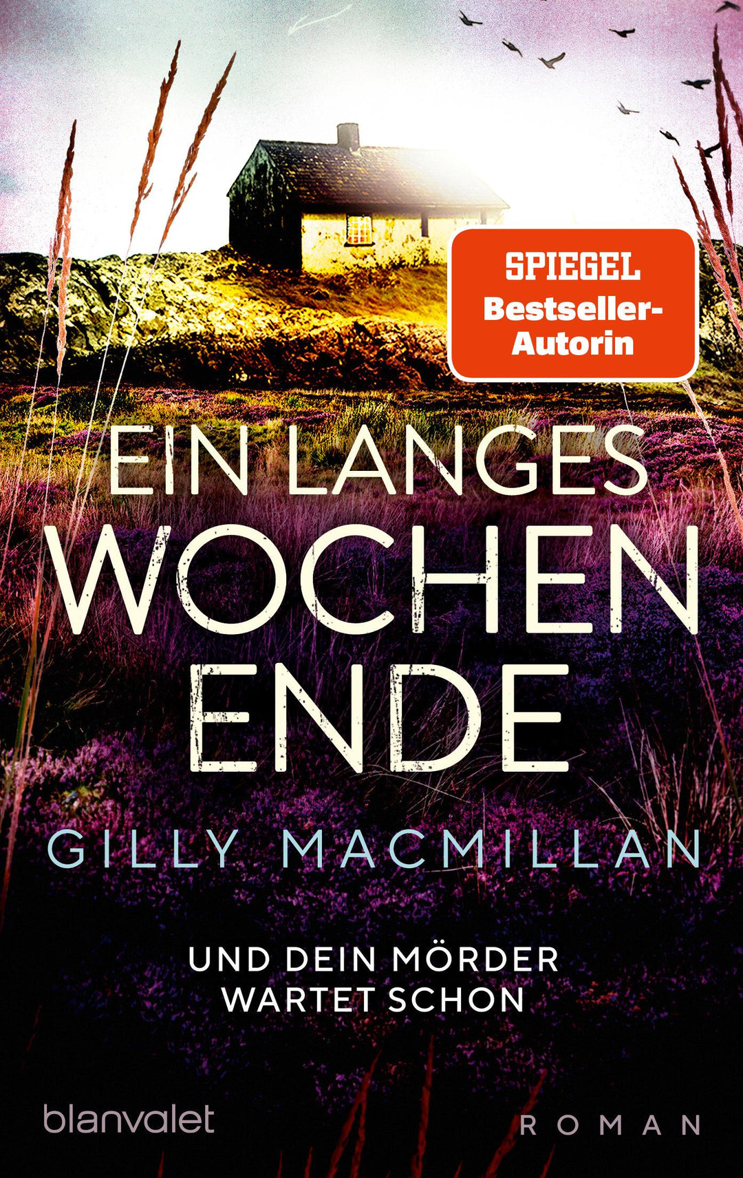 Ein langes Wochenende | Macmillan, Gilly