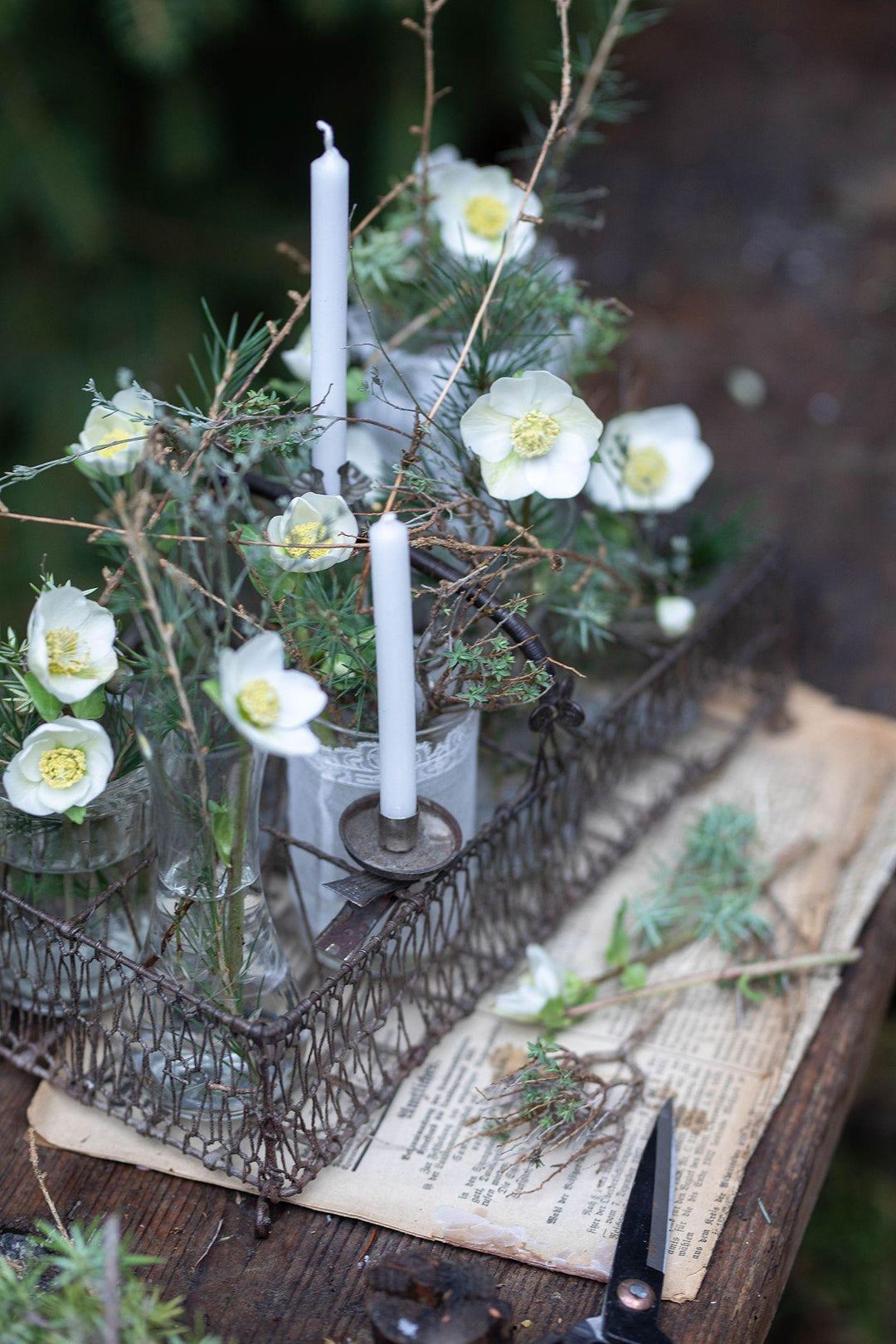 Französisches Landhaus-Flair | Kohler, Ramona Christina