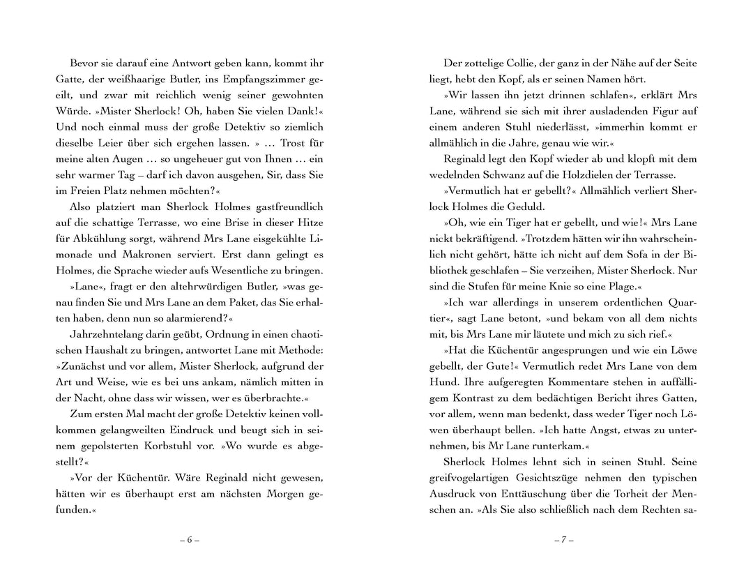 Der Fall des verschlüsselten Briefes | Springer, Nancy