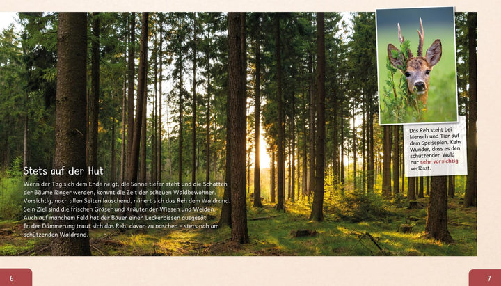 Meine große Tierbibliothek: Das Reh | Poschadel, Jens