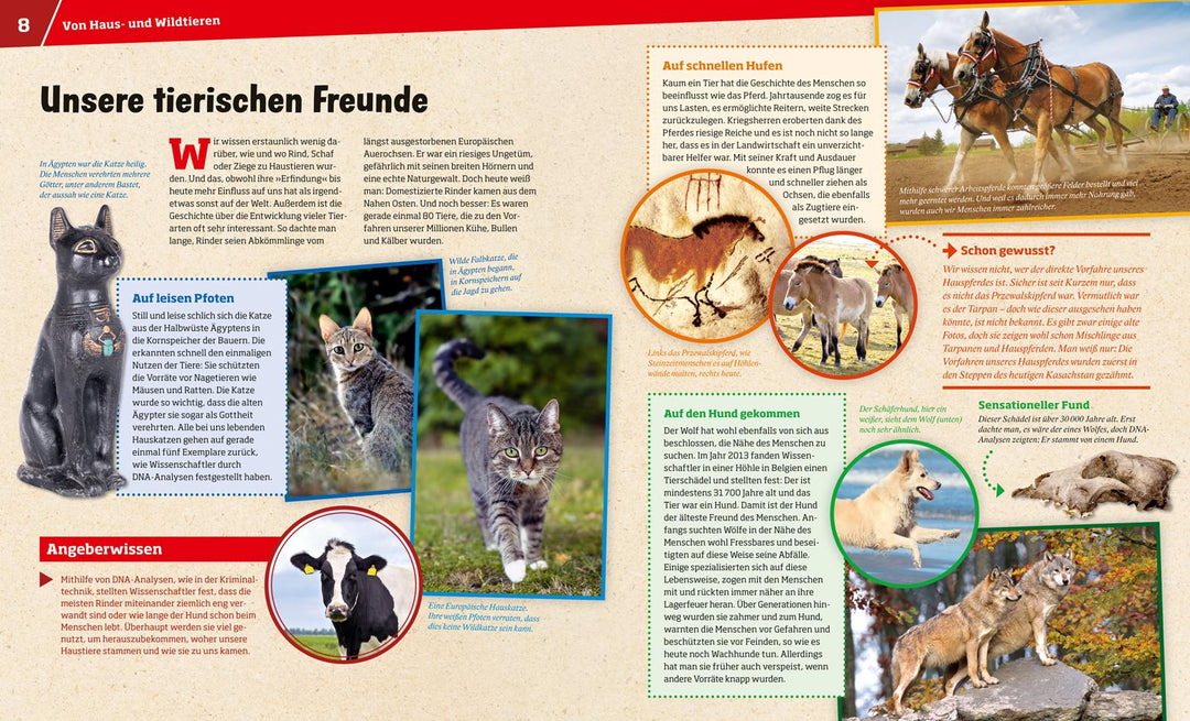 WAS IST WAS Band 72 Haustiere. Unsere liebsten Freunde | Hackbarth, Annette