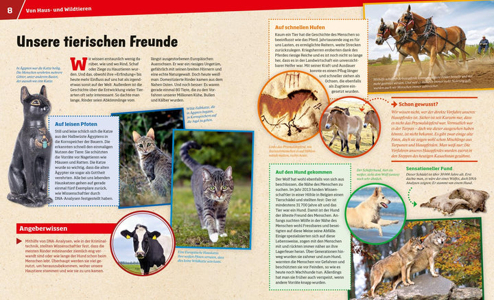 WAS IST WAS Band 72 Haustiere. Unsere liebsten Freunde | Hackbarth, Annette