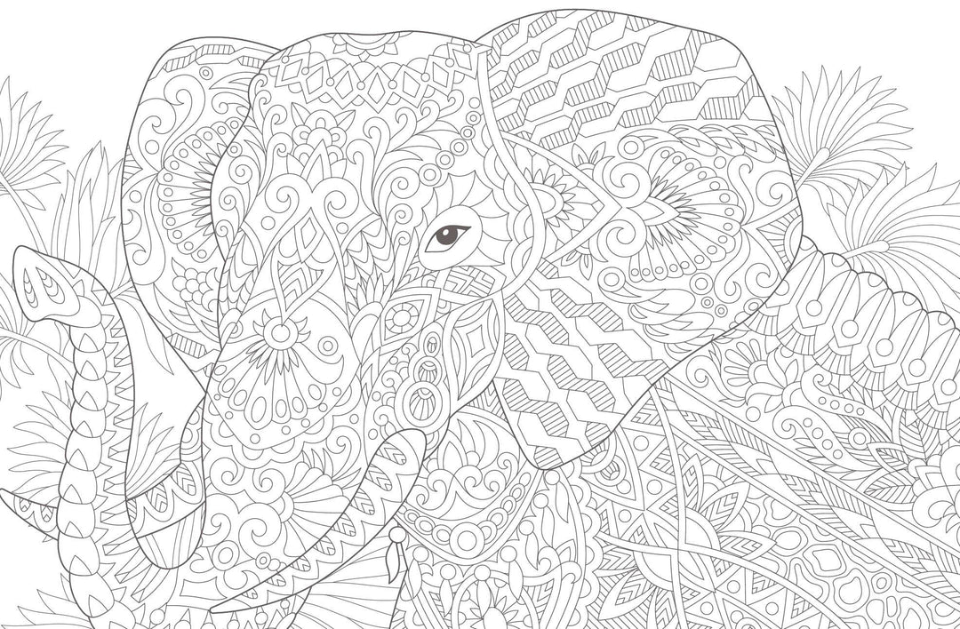 Colorful Mandala - Mandala - Dschungeltiere | -