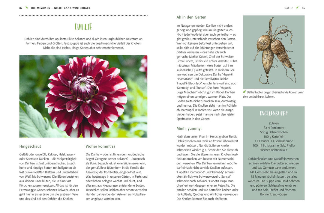 Gemüse forever! | Weidenweber, Christine