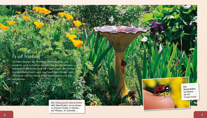 Meine große Tierbibliothek: Der Marienkäfer | Tracqui, Valérie