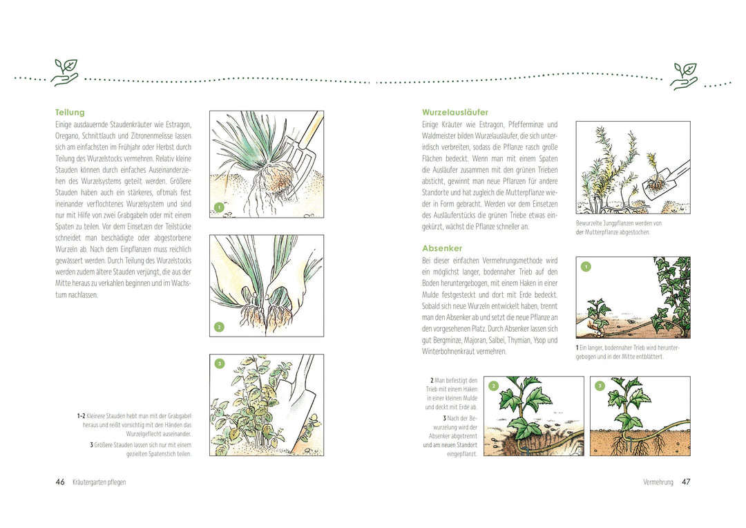 Kräutergärten anlegen und pflegen. Biologisch gärtnern und genießen | Kopp, ...