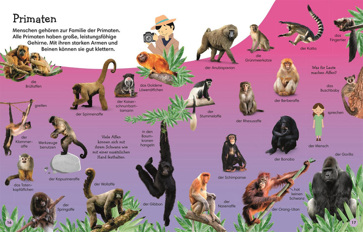 1000 erste Wörter. Tiere | Pottle, Jules